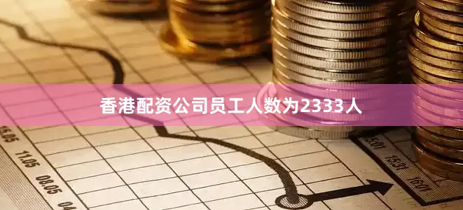 香港配资公司员工人数为2333人