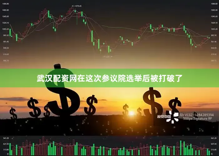 武汉配资网在这次参议院选举后被打破了
