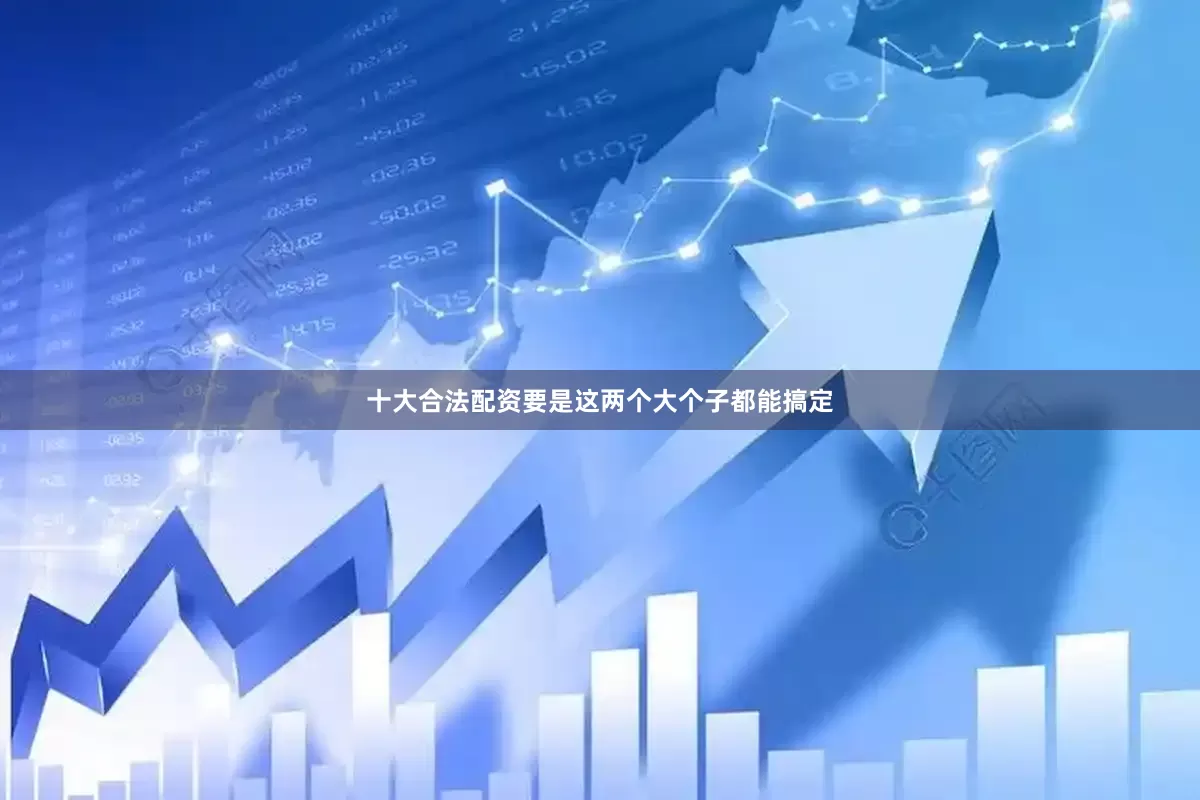 十大合法配资要是这两个大个子都能搞定