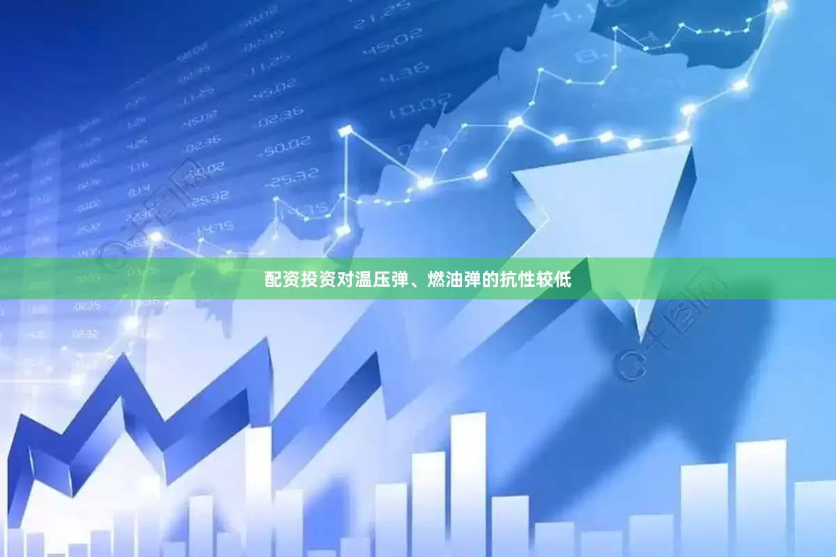 配资投资对温压弹、燃油弹的抗性较低